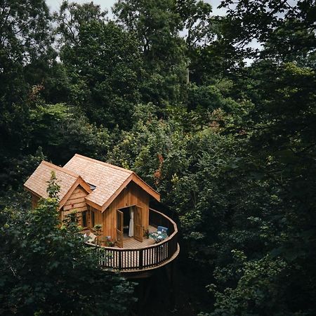 Wildhive Callow Hall Ashbourne  Exterior photo